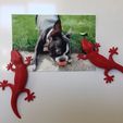 IMG-0476.JPG Archivo STL gratuito Imán de la nevera Gecko・Objeto para descargar e imprimir en 3D, cult3dp