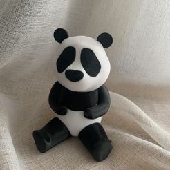 IMG_1552.jpeg Minimalist Panda Puzzle