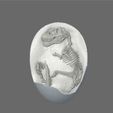 T-rex-Egg-6.jpg T-Rex egg fossil - Baby Dinosaur eggs fossil toy