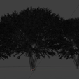 trees-wireframe.png Trees