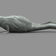 dart.47.jpg Dart (Stranger Things)