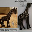 wild-giraffe-mark.jpg WILD GIRAFFE  TWO
