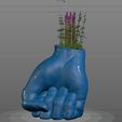 11.jpg Hand Vase Plant