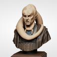 1.png Bib Fortuna - bust 100mm