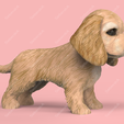 AC03.png Cute Puppy American Cocker Spaniel STL and VRML