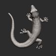 Day-Gecko12.jpg Day Gecko 3D print model