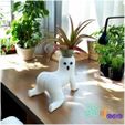 WhatsApp-Image-2025-05-14-at-7.13.18-PM.jpeg Il fantasma dal sedere grosso, Scherzi in giardino, Il giardiniere maleducato