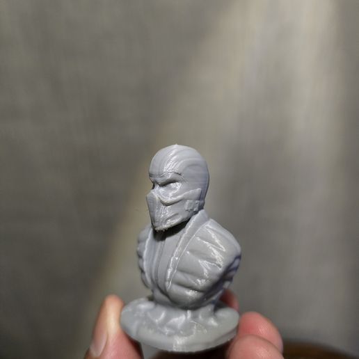 20260101_202542.jpg Бюст Sub Zero