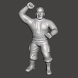 Screenshot-795.png WWE WWF LJN Style Bushwhacker Luke Figure