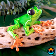 10.png Cinder Frog, Articulating Frog, Tree Frog, Dart Frog, Cinderwing3D, Articulating Flexible Fidget Cute Print in Place No Supports