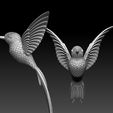 6795780.jpg colibri humming bird