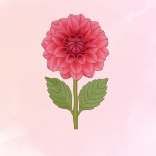 Flor crisantemo 3D model