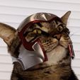 IMG_3299.jpeg Magnito Cat Helmet (X-Men)🪙