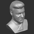 18.jpg Gordon Ramsay bust for 3D printing