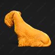 3403-Cesky_Terrier_Pose_06.jpg Cesky Terrier Dog 3D Print Model Pose 06