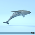 ARTICULATE_WHALE_02.png FLEXI ARTICULATED WHALES
