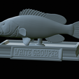 White-grouper-open-mouth-statue-53.png fish white grouper / Epinephelus aeneus open mouth statue detailed texture for 3d printing