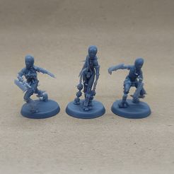 Wretched Succubi A - Dual Wielders (Pre-Supported)