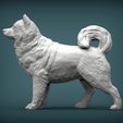 Alaskan-Malamute1.jpg 3D-Datei Alaskan Malamute 3D-Druck Modell・Modell für 3D-Drucker zum Herunterladen