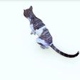 11.jpg CAT - DOWNLOAD CAT 3d model - animated for blender-fbx-unity-maya-unreal-c4d-3ds max - 3D printing CAT CAT - POKÉMON - FELINE - LION - TIGER