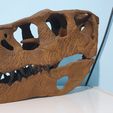 Indoraptor-skull-model-3d-print-31.jpg Indoraptor skull 3d print 30cm