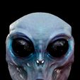 IMG_1683.jpg Become a Roswell Alien with our 3D Full Face Mask!