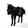 000WDKKK.jpg HORSE - PEGASUS HORSE - COLLECTION - DOWNLOAD Pegasus horse 3d model - animated for blender-fbx-unity-maya-unreal-c4d-3ds max - 3D printing HORSE HORSE PEGASUS