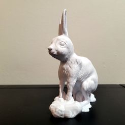 20230129_230144.jpg Rabbit of the year standing updated ver2!