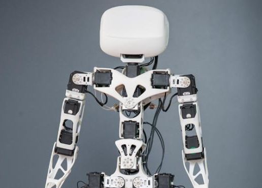 poppy.jpg Mohn-Humanoid