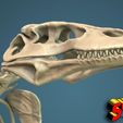 komodo-dragon-skeleton-3d-model-obj-fbx-stl-4.jpg Komodo Dragon Skeleton 3D printable Model