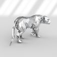 tiger3.jpg tiger-tiger