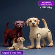 5.jpg Labrador retriever realistic dog articulated flexi toy (STL & 3MF)