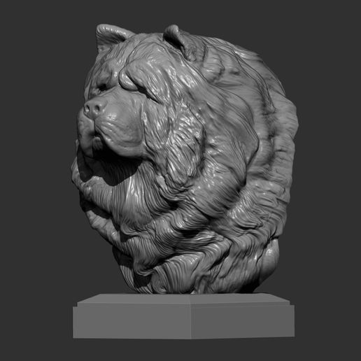 chow-chow6.jpg Modèle imprimé en 3D du buste de Chow Chow