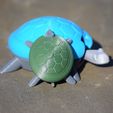 DSC_0114.JPG Free STL file Bobblehead Turtle・3D print design to download