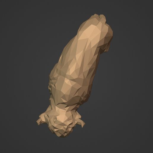 I10.jpg Многоугольная фигурка бизона