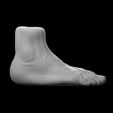 Foot-Vase-Pen-Holder-Anatomy-Pie-Moad-STL-3.jpg Foot Vase Vase - Foot Penholder - Pies Pies Macetero - Anatomical Sculpture