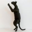 IMG_20191122_141213.jpg STL file Oriental Cat BJD・3D print design to download