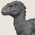 Snow-Raptor-Dinosaur-02.jpg Snow Raptor Dinosaur