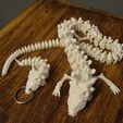 DSC_0029.jpg Articulated bone dragons