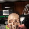 4d026f5d-d3ee-4693-b007-efb15726dd84.jpg articulated human skull skull