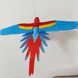 IMG_20240621_163800706.jpg Flying Macaw