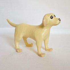 D4CE0548-D431-4C1C-B968-3578FDE48E63.jpg STL file Lab・3D printer model to download
