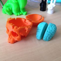SkullBox_3DK_3.jpg Boneheads: Skull Box w/ Brain - via 3DKitbash.com
