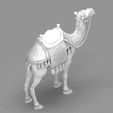 Detailed-Arabian-Camel-Saddled-Desert-Mount.81.jpg Detailed Arabian Camel - Saddled Desert Mount