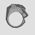 WhatsApp-Image-2025-02-11-at-20.21.55-1.jpeg ANILLO PANTHER