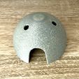 IMG_8395.jpg Coconut shell - the perfect decoration for your aquarium