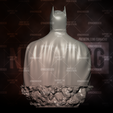 d.png Batman Fan Art - BUST
