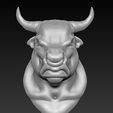 Bull_Head_02.jpg Bull Head 3D Model