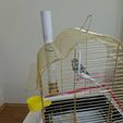 WhatsApp_Image_2018-09-02_at_12.03.16_1.jpeg İntelligent Feeder For Birds