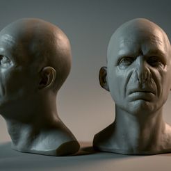 Voldemort-copy.jpg Voldemort fan art